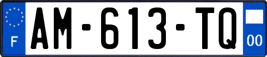 AM-613-TQ