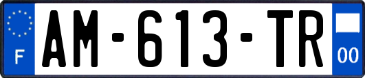 AM-613-TR