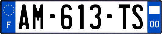 AM-613-TS