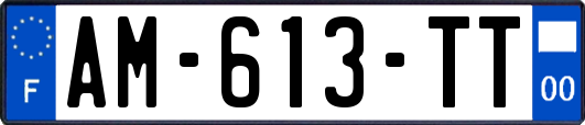 AM-613-TT