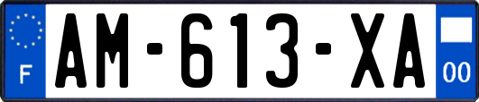 AM-613-XA