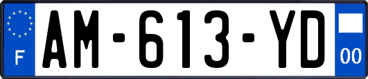 AM-613-YD