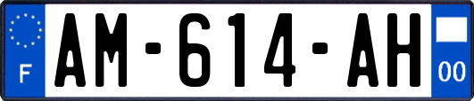 AM-614-AH