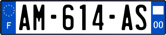 AM-614-AS