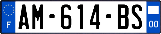 AM-614-BS