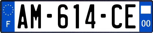 AM-614-CE