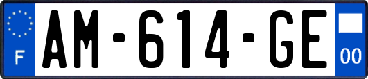 AM-614-GE