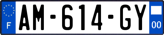 AM-614-GY