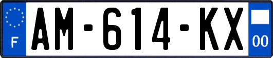 AM-614-KX