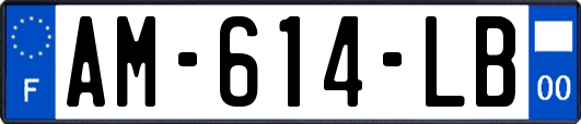 AM-614-LB