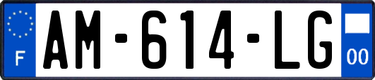AM-614-LG