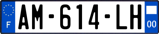 AM-614-LH