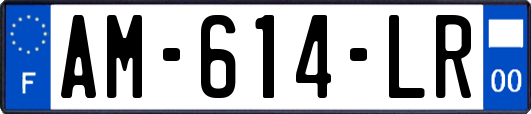 AM-614-LR