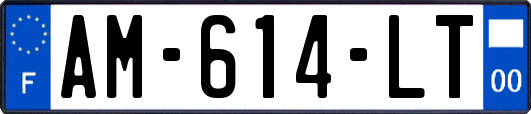 AM-614-LT