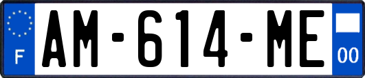 AM-614-ME