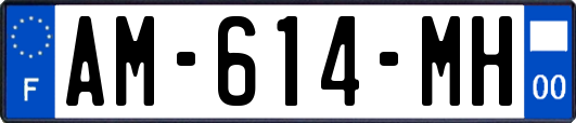 AM-614-MH