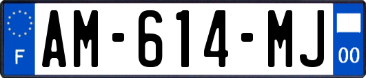 AM-614-MJ