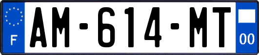 AM-614-MT