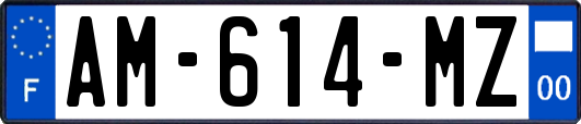 AM-614-MZ