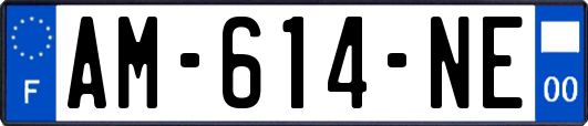 AM-614-NE