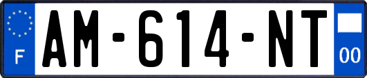 AM-614-NT