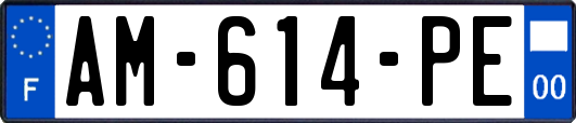 AM-614-PE