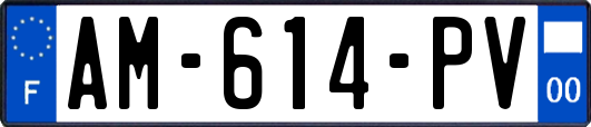 AM-614-PV