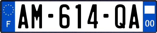 AM-614-QA