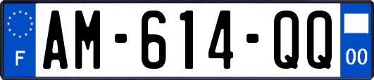 AM-614-QQ