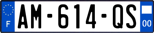 AM-614-QS