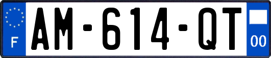 AM-614-QT