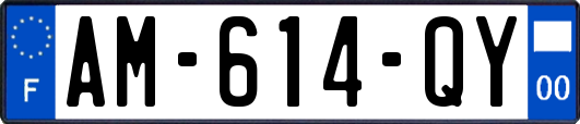 AM-614-QY