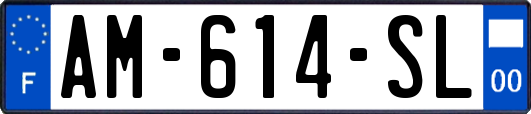 AM-614-SL