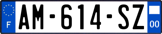 AM-614-SZ