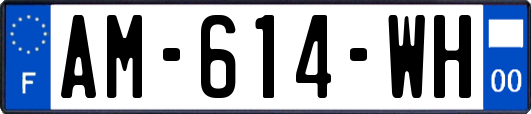 AM-614-WH