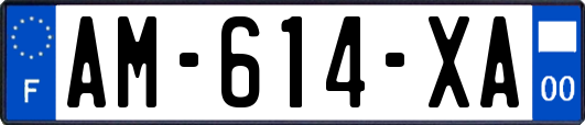 AM-614-XA