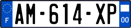 AM-614-XP