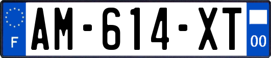 AM-614-XT