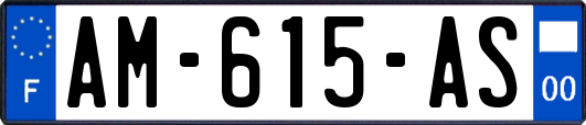 AM-615-AS