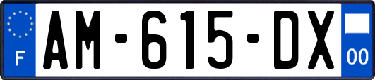 AM-615-DX