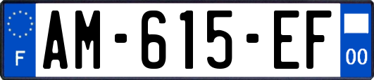 AM-615-EF