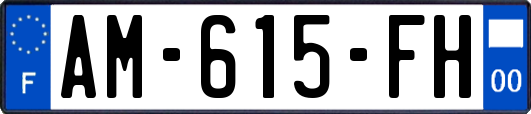 AM-615-FH