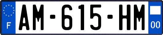 AM-615-HM