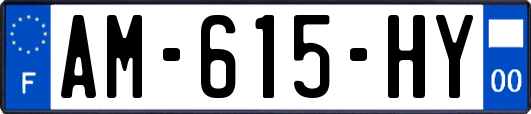 AM-615-HY