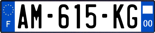 AM-615-KG