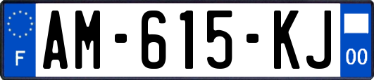 AM-615-KJ