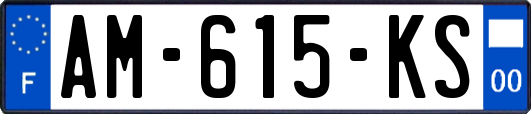 AM-615-KS