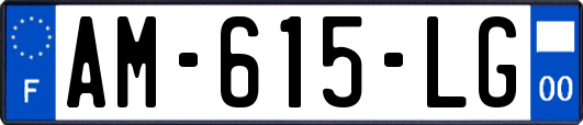 AM-615-LG