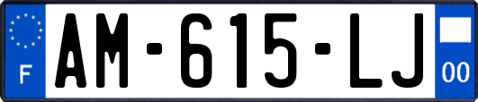 AM-615-LJ