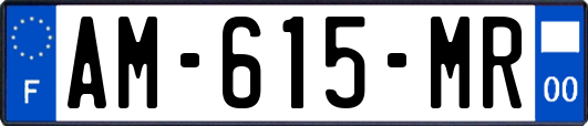 AM-615-MR
